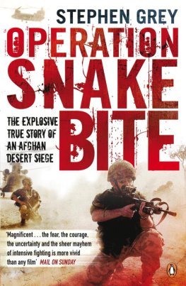 Stephen Grey - Operation Snakebite