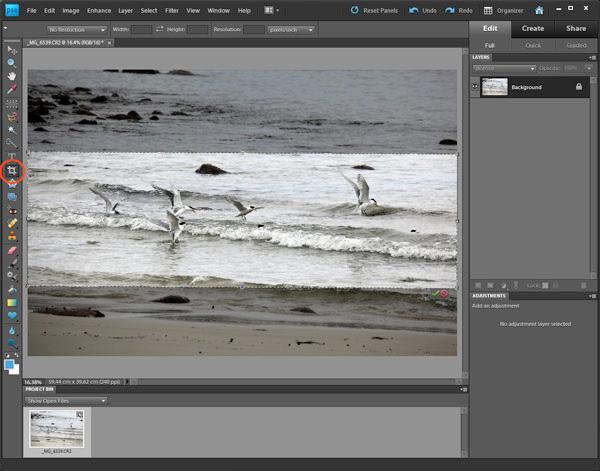 Using the cropping tool circled in red to improve the composition of a shot - photo 1