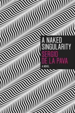 Sergio De La Pava A Naked Singularity