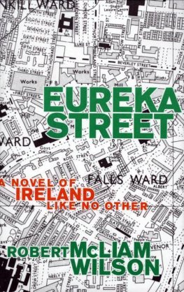 Robert Wilson - Eureka Street: A Novel of Ireland Like No Other