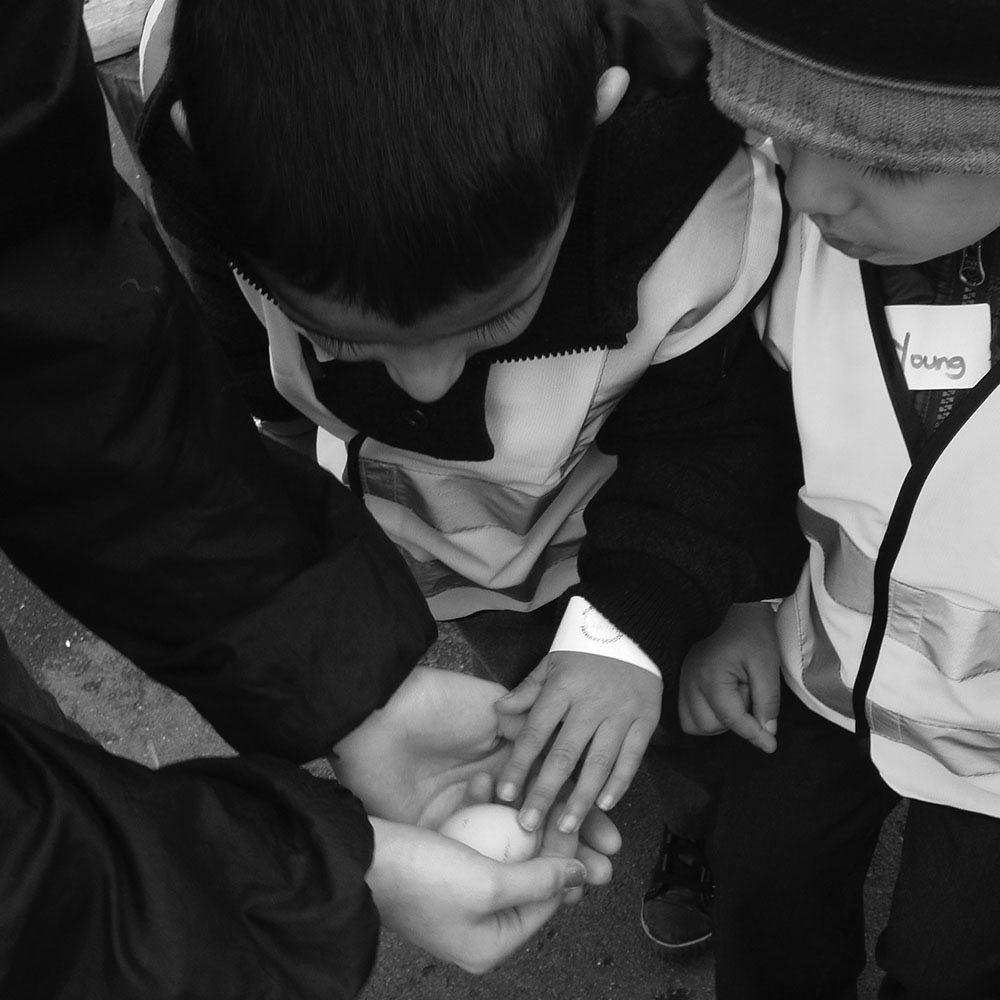 During a farm visit some nursery children were particularly interested in - photo 3