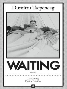 Dumitru Tsepeneag - Waiting: stories