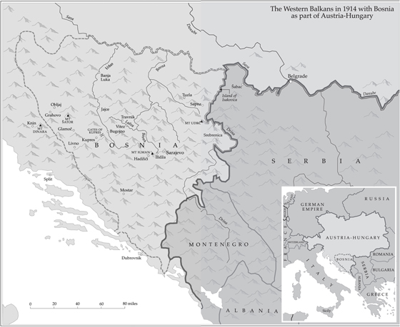 NOTE ON PRONUNCIATION The anglicised version of Bosnian Serbian and Croatian - photo 4