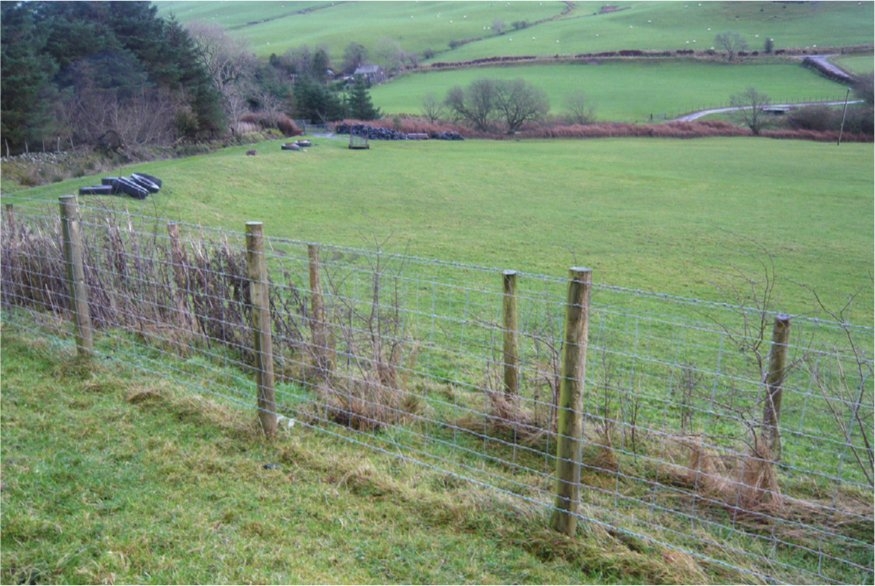 Fig 3 Double fencing makes sure that a closed flock cannot contact - photo 3