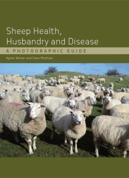 Agnes Winter - Sheep Health, Husbandry and Disease: A Photographic Guide