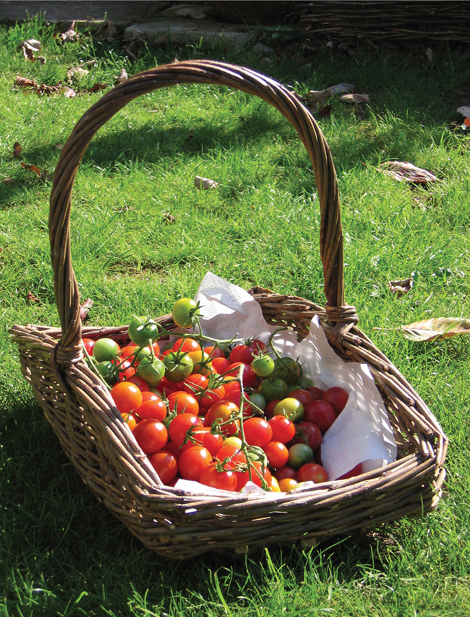 TOMATOES A Gardeners Guide Simon Hart First published in 2010 by The - photo 1