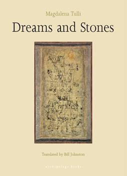 Magdalena Tulli Dreams and Stones