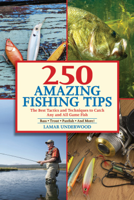 Rice John 250 amazing fishing tips : the best tactics and techniques to catch any and all game fish : bass, trout, panfish and more!