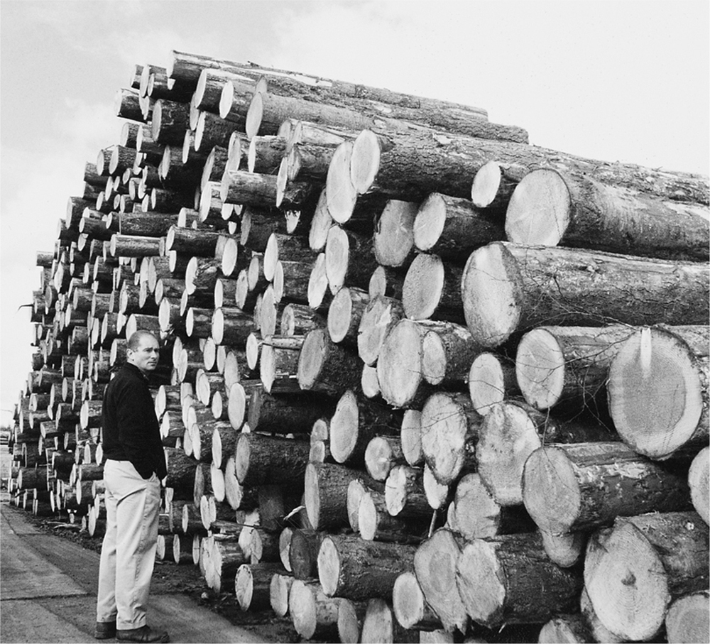 Raw material in sawmill From Sustainable Forest to Sawmill In Britain the - photo 2