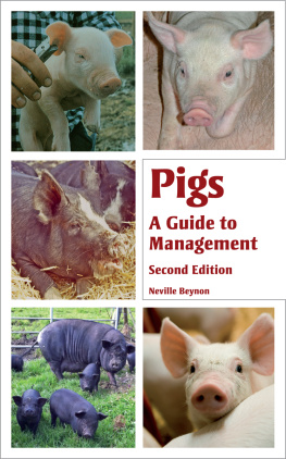 Beynon Pigs : a guide to management