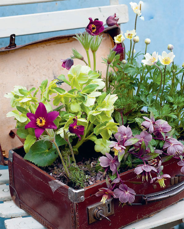 Teeny tiny gardening 35 step-by-step projects and inspirational ideas for gardening in tiny spaces - image 3