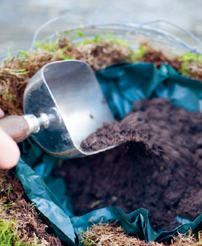 A plastic liner will help to conserve moisture in a container but cut a few - photo 9