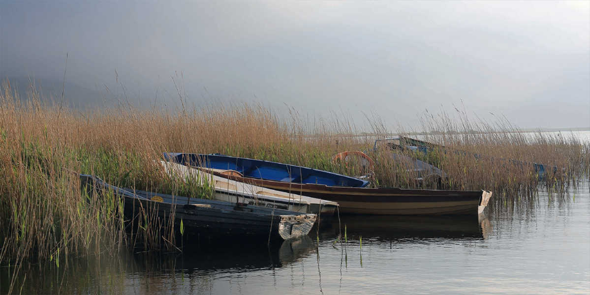 Fishing boats at Dingle Peninsula in Lough Gill County Kerry MUSSELS WITH - photo 7