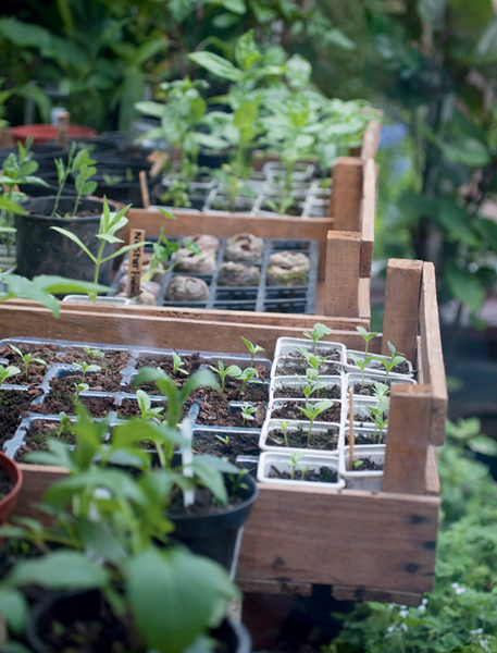 Introduction modern gardening in an historic landscape Gardening at the - photo 2