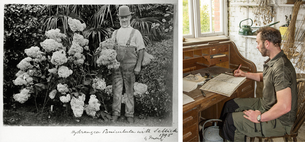 Above Left Sellick the Head Gardener at Saltram Devon in 1895 stands in - photo 4