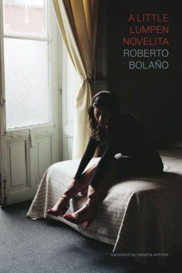 Roberto Bolaño - A Little Lumpen Novelita