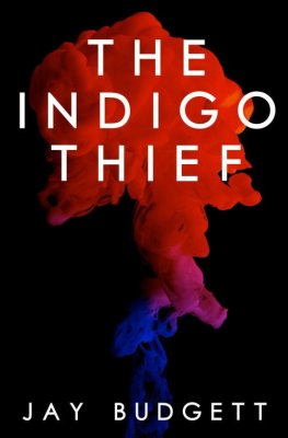 Jay Budgett - The Indigo Thief