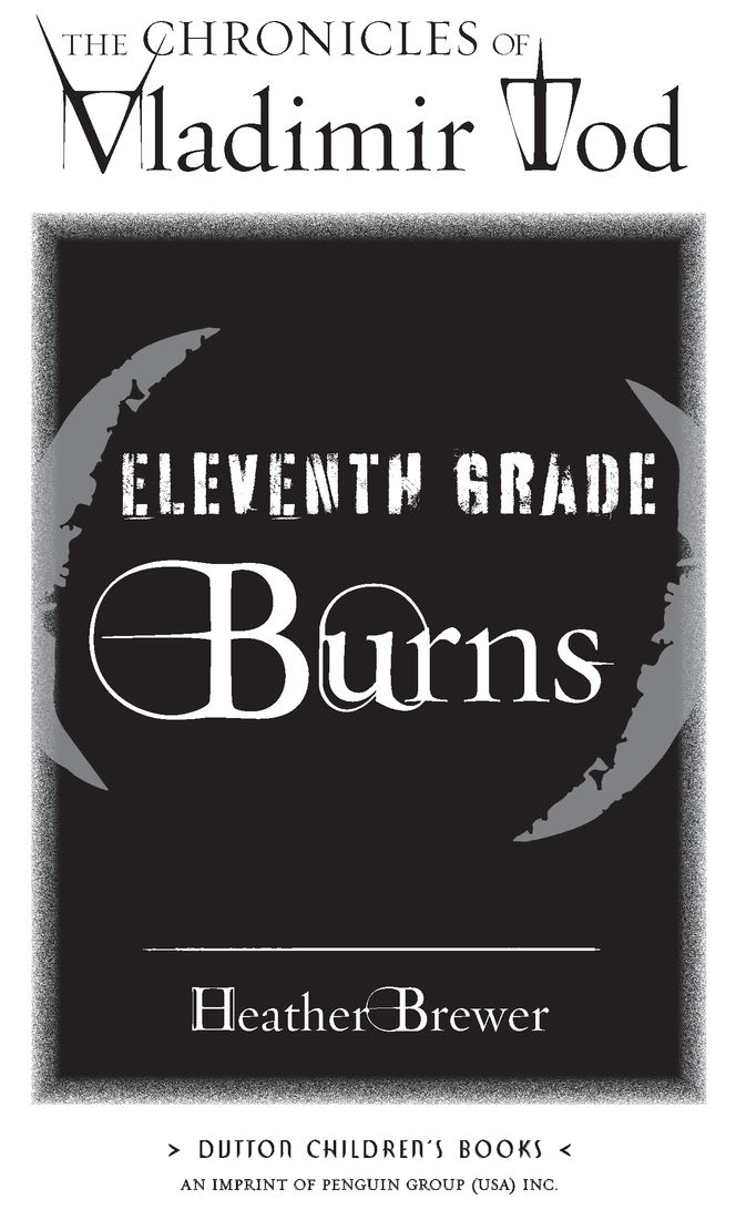 Eleventh Grade Burns - image 2