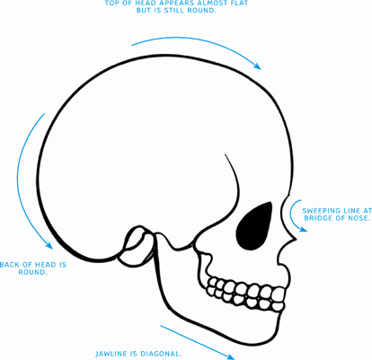 Basic Anatomy for the Manga Artist Everything You Need to Start Drawing Authentic Manga Characters - photo 14