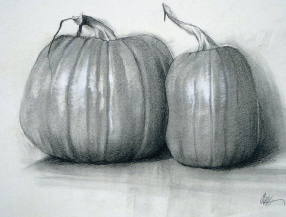 TWO PUMPKINS Charcoal on bristol board 9 12 23cm 30cm Use Subjects That - photo 14