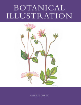 Valerie Oxley - Botanical Illustration