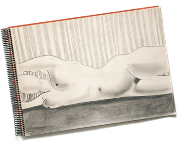 With graphite you can draw lines strokes and marks as delicately as you - photo 12