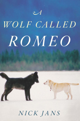 Nick Jans - A Wolf Called Romeo