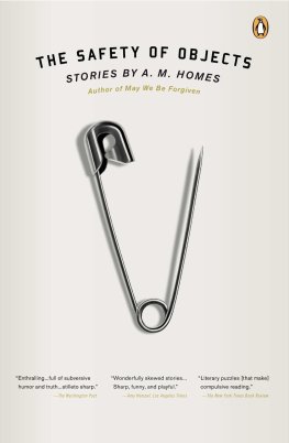 A. Homes - Safety of Objects: Stories