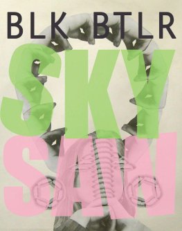 Blake Butler Sky Saw