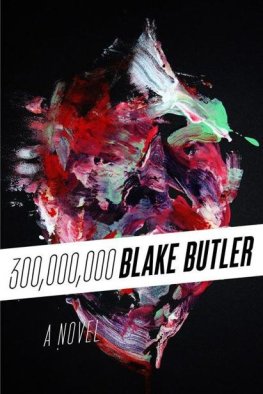 Blake Butler Three Hundred Million: A Novel