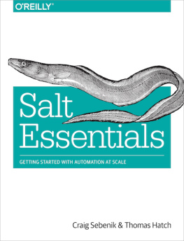 Craig Sebenik Salt Essentials