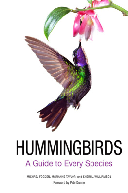 Michael Fogden - Hummingbirds: A Life-size Guide to Every Species