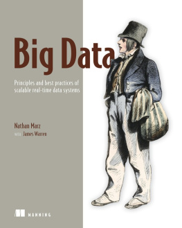 Nathan Marz - Big Data: Principles and best practices of scalable realtime data systems