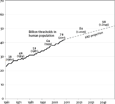 01 Global per capita meat consumption kgperson sources When the lens - photo 3