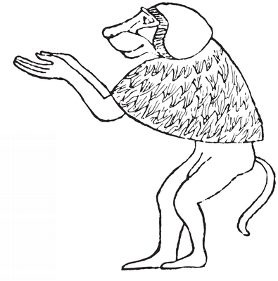 15 A Cynocephalus baboon as demon of the nether world After an illustration - photo 5