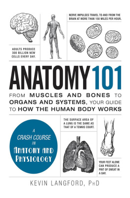 Kevin Langford - Anatomy 101: From Muscles and Bones to Organs and Systems, Your Guide to How the Human Body Works