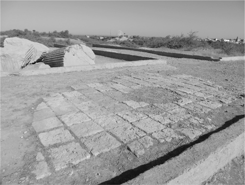 15 Tiled floor in the palace of Darius I at Susa 16 The tomb of Cyrus at - photo 19