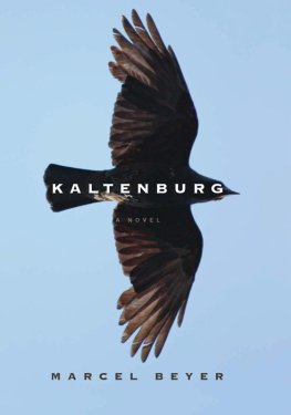 Marcel Beyer - Kaltenburg