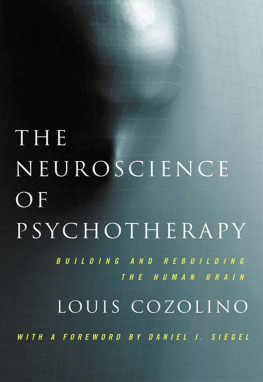 Louis Cozolino The Neuroscience of Psychotherapy: Healing the Social Brain