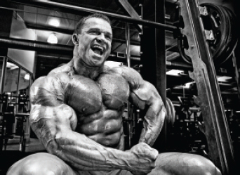 Encyclopedia of Bodybuilding The Complete A-Z Book on Muscle Building - photo 10