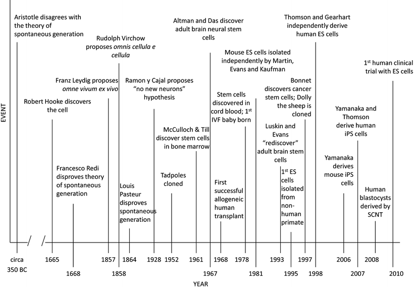 Fig 3 Timeline of historical events related to stem cell research - photo 3