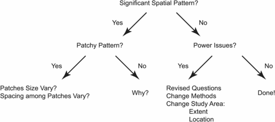 Key Questions to Ask while Analysing Spatial Ecological Data Spatial Analysis - photo 2