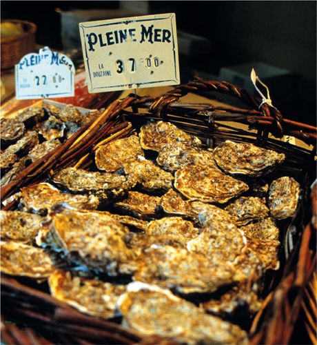 Oyster A Gastronomic History with Recipes - image 7