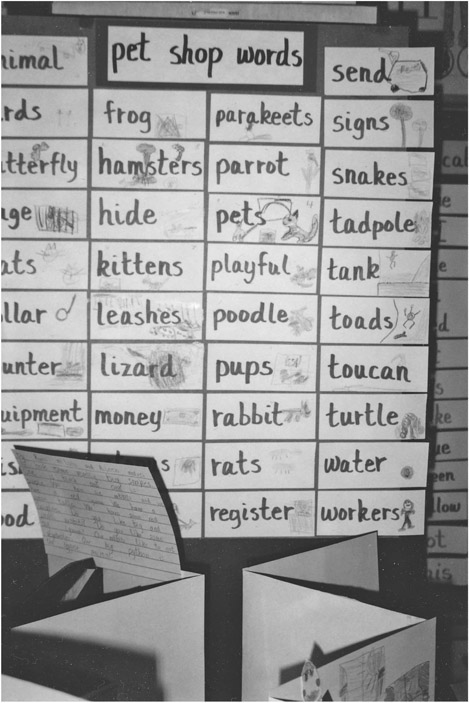 Figure 11 This Pet Shop Words chart was made from words and illustrations - photo 1