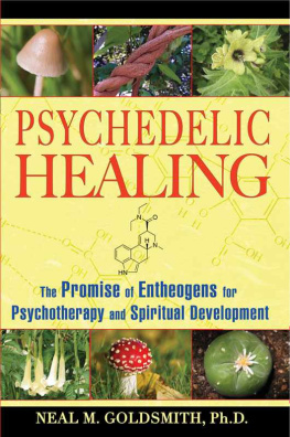 Neal M. Goldsmith - Psychedelic Healing: The Promise of Entheogens for Psychotherapy and Spiritual Development