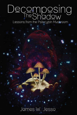 James W. Jesso - Decomposing The Shadow: Lessons From The Psilocybin Mushroom