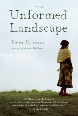 Peter Stamm - Unformed Landscape