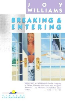 Joy Williams - Breaking and Entering