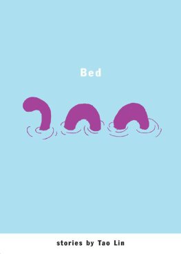 Tao Lin - Bed