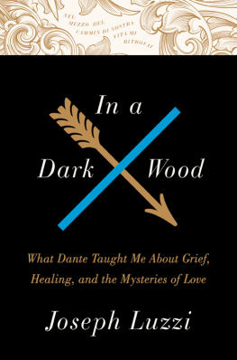 Joseph Luzzi - In a Dark Wood: What Dante Taught Me About Grief, Healing, and the Mysteries of Love